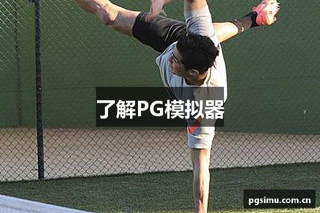 了解PG模拟器